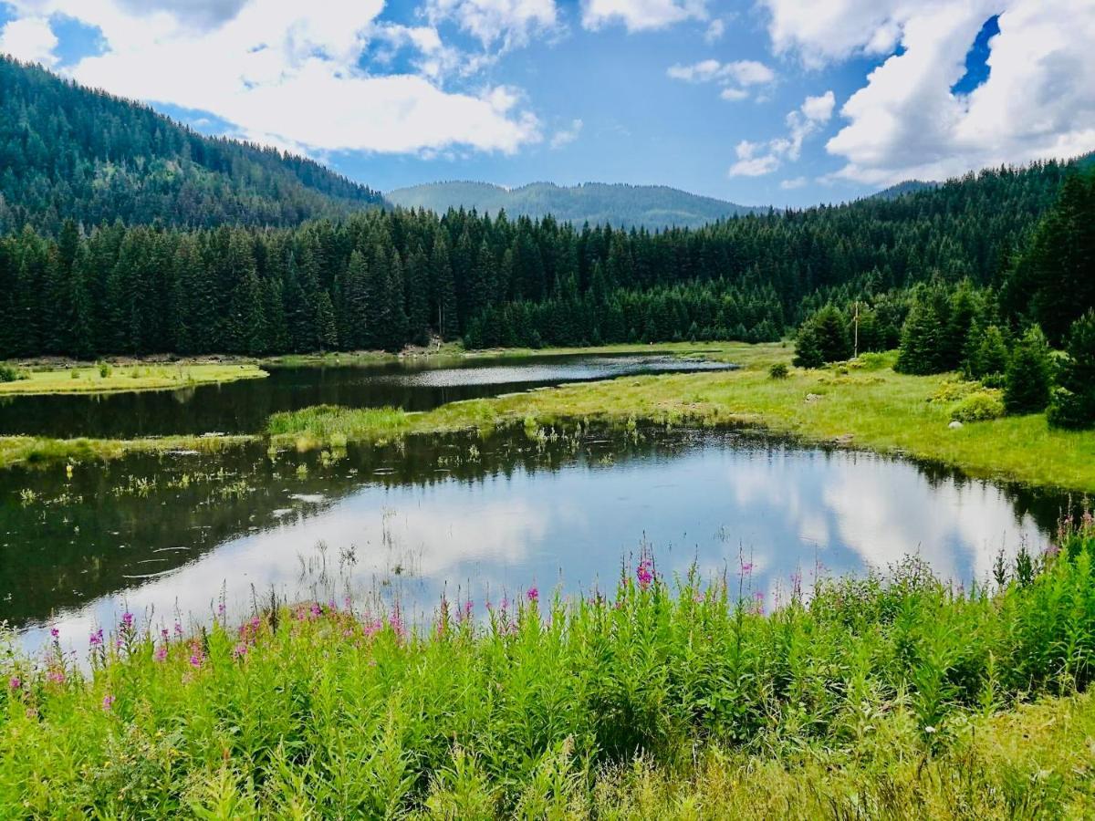 Secret Lake 533 At Oak Residence Смолян Экстерьер фото